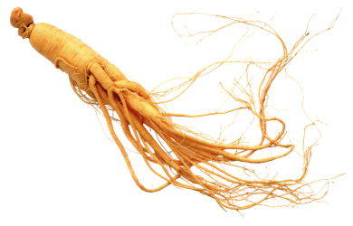 HỒNG SÂM